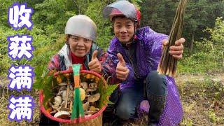 娜姐和雨锅一天没上山心痒手也痒，冒雨戴着头盔去摘茶树菇，还意外收获石笋