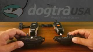 Dogtra 1900s vs ARC - E-Collar Comparison | DogtraUSA.com