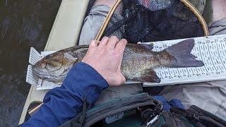 Kayak Fishing The Grand River After Work For Big Smallmouth!