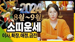 2024년 하반기  소띠 운세 놀라지마세요!대박나는 x x 년 소띠의 평생 운세! 초대박나는 xx 세 소띠운세 과연