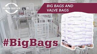 PALLETIZING - Valve bag palletizing and Big Bag packaging