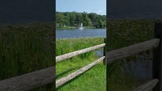 #Shorts  at the beautiful lake in summer   #lake #newjersey #summer