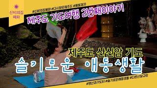 용한점집 신비의집 혜화-슬기로운 애동생활