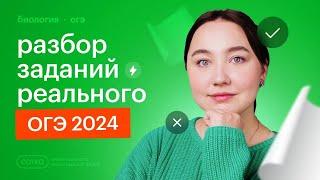 Разбор заданий РЕАЛЬНОГО ОГЭ 2024 по биологии