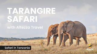 Tarangire: A Top Tanzania Safari Experience | Altezza Travel