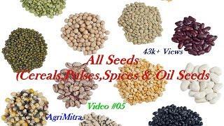 All Pulses, Cereals, Fruits, Vegetables and Oil Seeds Name In Kannada