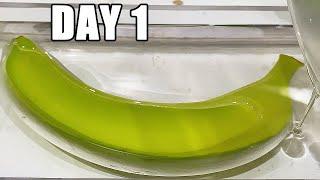 Banana After 180 Days In Epoxy Resin | What Happened?