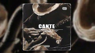 Latin Spanish Guitar Sample Pack - "Cante" | Melodic Finger Picking Flamenco Guitar loop kit 2025