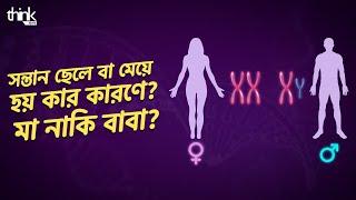 সন্তান ছেলে বা মেয়ে হয় কার কারণে? মা নাকি বাবা? Boy or girl? It's in the father's genes Think Bangla