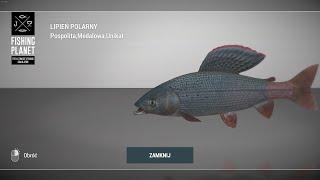 Fishing Planet Selenge River Mongolia Unique Arctic Grayling | Unikatowy Lipień Polarny