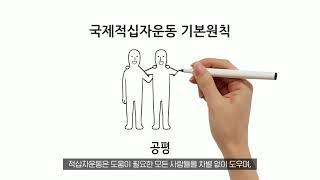 국제적십자운동의 이해