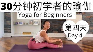 【30分钟初学者的瑜伽课程 Day 4 】零基础瑜伽入门系列课程 | Yoga for Beginners Series #4