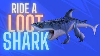 Use A Fishing Rod  To Ride A Loot Shark