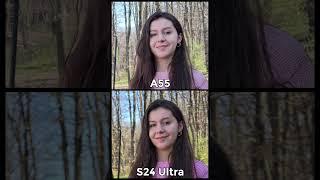 Samsung Galaxy A55 vs S24 Ultra Camera Test