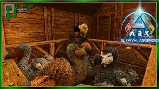 Wild Dodos Make the Best Friends! 5 Tame Challenge EP 11