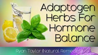 Adaptogen Herbs: for Hormone Balance & Stress