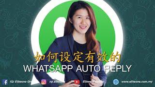 如何设定有效的 WhatsApp Auto Reply