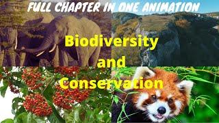 Biodiversity And Conservation!! Short Animated Videography!!! NCERT Biology Class 12!! 2021!!