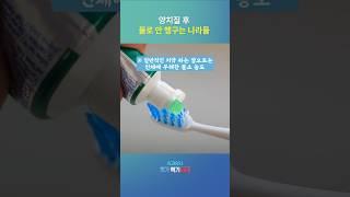 양치 후 물로 안 헹구는 나라들 #양치질 #치약 #양치 #칫솔질