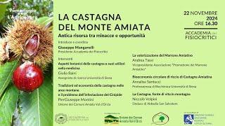 La Castagna del Monte Amiata