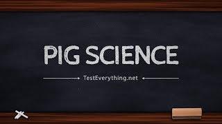 Pig Science - 119 Ministries