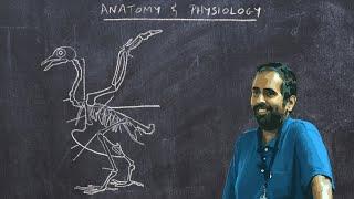 Basic Ornithology: Avian Anatomy and Physiology