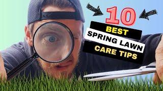 Top 10 DIY Spring Lawn Care Tips!