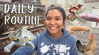 My DAILY PET ROUTINE 2021! (a day in my life with 10+ pets)