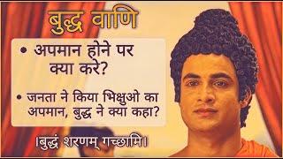 Buddha Teachings | 09 | Why people insult you and how should you React? | Buddha Serial