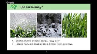 Сад без полива. Вебинар по природному саду