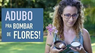 Receita de ADUBO CASEIRO para ORQUÍDEA dar FLOR