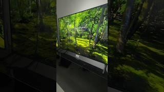 PANASONIC W95A MINI-LED 85" 75" 65" 55"