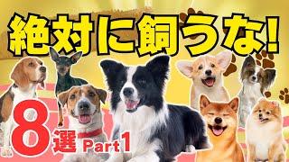 【本当はヤバイ人気犬種 8選 part1】飼いにくくて後悔している理由を解説！