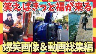 【爆笑:総集編】腹筋崩壊！笑って嫌な事吹っ飛ばせ！爆笑画像＆動画総集編/ガルちゃん選抜/爆笑GIF動画/ゆっくり