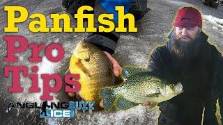 AnglingBuzz Ice — Ice Fishing Bluegills and Crappies (Plus Manitoba Greenback Walleyes!)