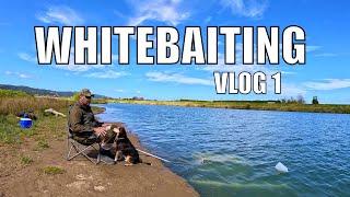 Whitebaiting -1st Trip At The River Beach