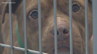 Guilford County Animal Services opens new facility