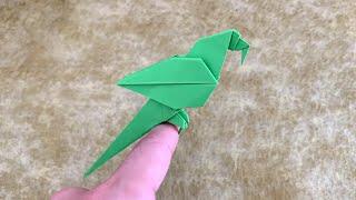 ORIGAMI PARROT | ORIGAMI BIRD | DIY EASY