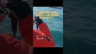 진해더블피싱 참돔타이라바 30목욜  마리수 터집니다 #진해더블피싱 #참돔타이라바