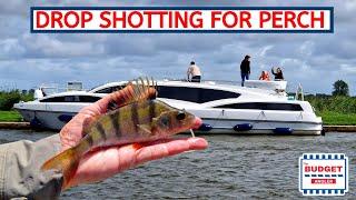 Drop Shotting for Perch in Wroxham