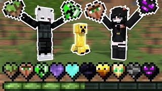 MINECRAFT DAR AVEM INIMI CUSTOM (cu abilitati)