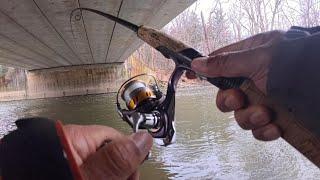 Steelhead Float Fishing In Ohio's Lake Erie Tributary After The River Water Has Dropped!!