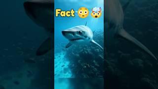 "Shocking Shark Secrets You Never Knew!" #youtubeshorts #viralfact