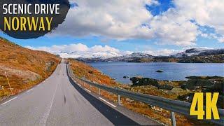 Stunning Drive in Norway | Sognefjellet Scenic Route through Mountains & Valleys [4k]