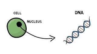 What is genetic testing?