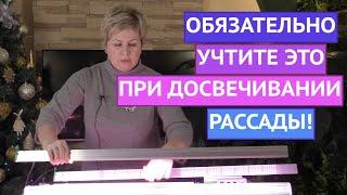 КАК ВЫБРАТЬ ИДЕАЛЬНУЮ ЛАМПУ ДЛЯ ПОДСВЕТКИ РАССАДЫ И РАСТЕНИЙ!