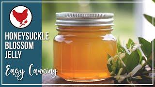 Honeysuckle Blossom Jelly Recipe - Easy Canning