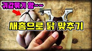 새총 닭 사격 / 새총위력 / 새총 낚시 / 새총 멧돼지 / 새총 살상력 /  새총 사냥 /  slingshot chicken shooting