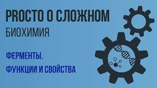 PROСТО О СЛОЖНОМ  Ферменты, Биохимия №7