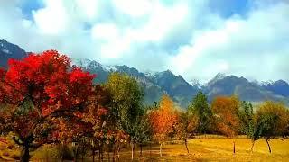| Heaven On Earth | Shigar valley |